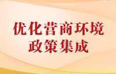 优化营商环境政策集成